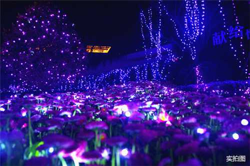 苏州恒大悦珑湾国际灯光艺术节为您带来不一样的浓情仲夏夜！(图)