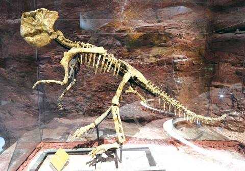 恐龙骨架研究表明，恐龙不能随意地吐舌头（图）