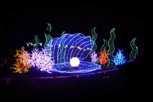 四川自贡花灯制作展现不一样的节日魅力